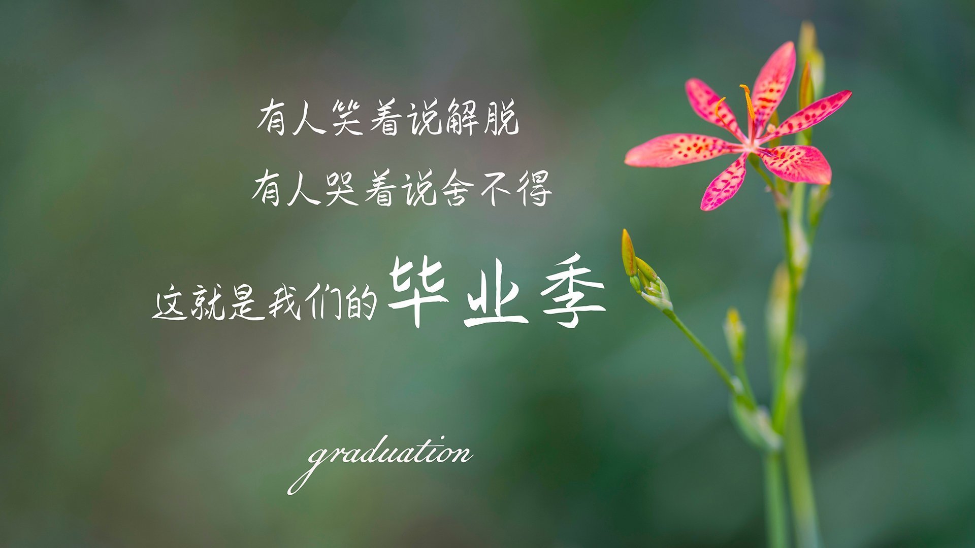 九游(jiuyou)官方网站-伯恩茅斯中场大将受伤，球队面临考验，伯恩茅斯身价